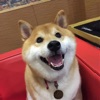 konyboy