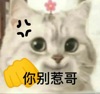 張美麗
