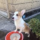 朱治翰