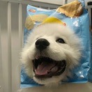 陳怡霖