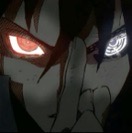 Y11